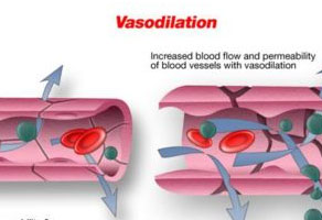 shalom float and wellness : Vasodilation