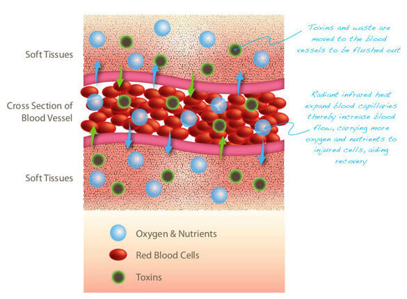 shalom float and wellness : floatation therapy vasodilation