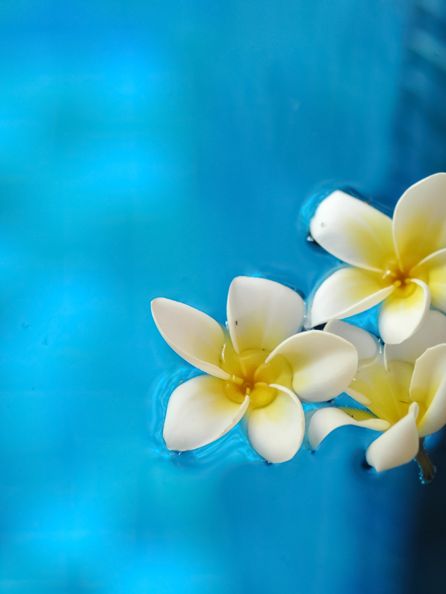 Read more about the article Benefits of Float therapy